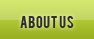 About Us Tab
